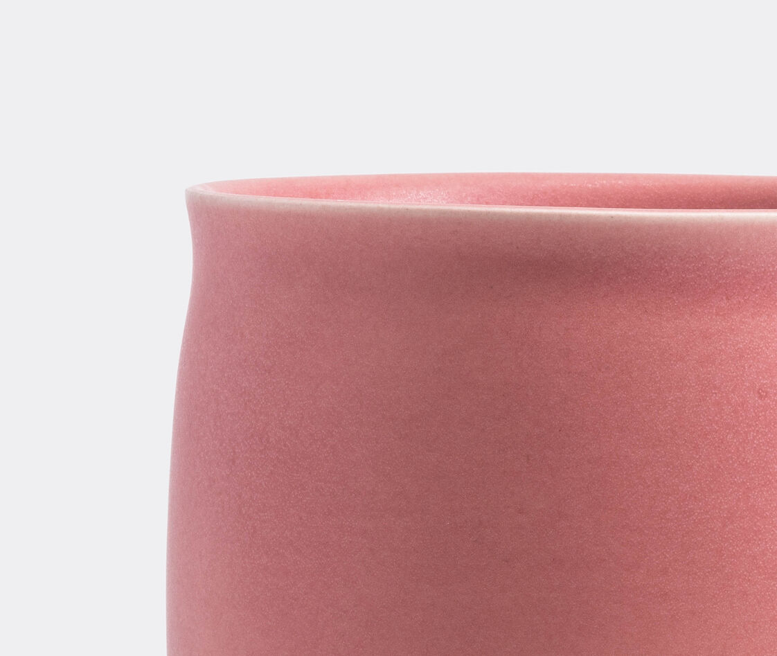 Shop Raawii Vases Young Rose 4