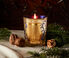 Trudon 'Fir' candle gold and blue CITR21FIR228BLU