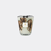 Shop Baobab Collection Candlelight And Scents Beige Uni